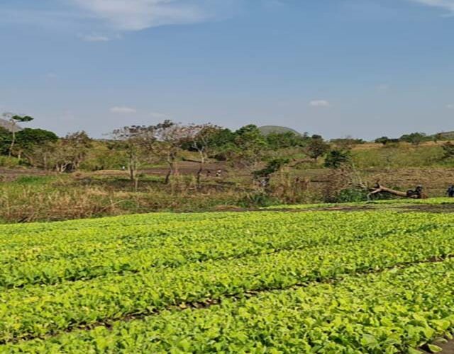 Premium_Standards_And_Processes